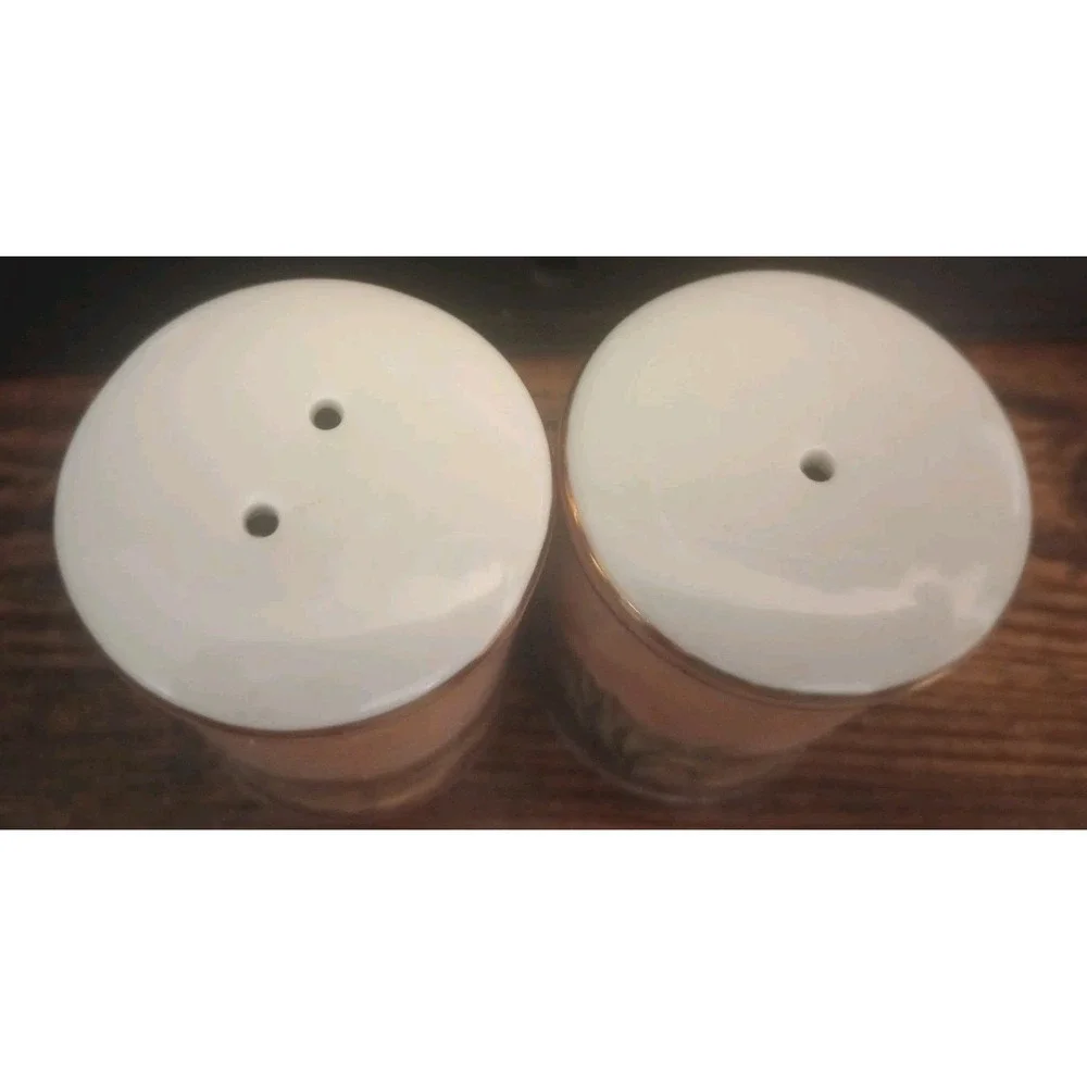New Mexico Souvenir Salt & Pepper Shaker Set‎ Desert Native Southwest Pottery